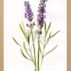 A1 (59.4 x 84.1 cm) Black Frame - Image 7