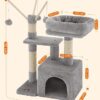 Cat Tree, Small Cat