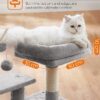 Cat Tree, Small Cat