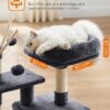 Cat Tree, Small Cat