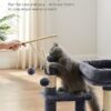 Cat Tree, Small Cat