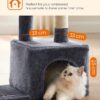 Cat Tree, Small Cat