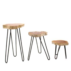 Set of 3 Gamal Wood Plant Stands – Whitewash