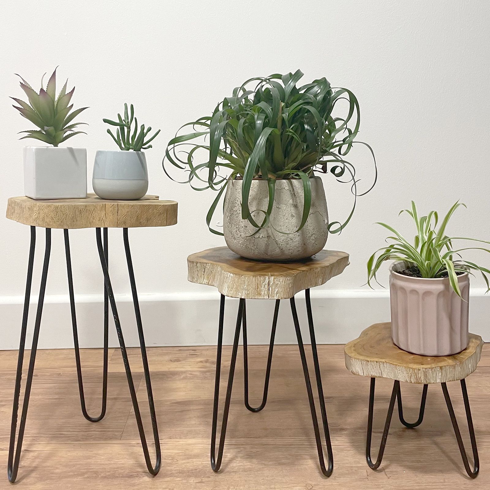 Set of 3 Gamal Wood Plant Stands - Whitewash - Image 6