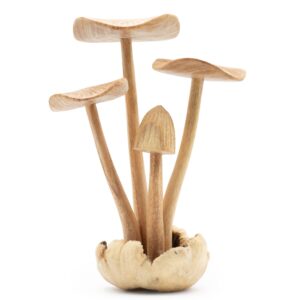 Handmade Parasite Wood Art Carving – Set of 4 Large Mushrooms