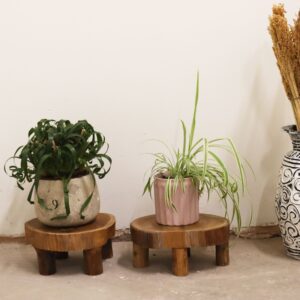 Low Teak Pad Display – 24x10cm