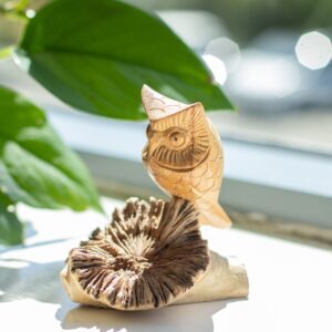 Handmade Parasite Wood Art Carving – Owl Watching