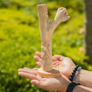 Handmade Parasite Wood Art Carving – Greenman