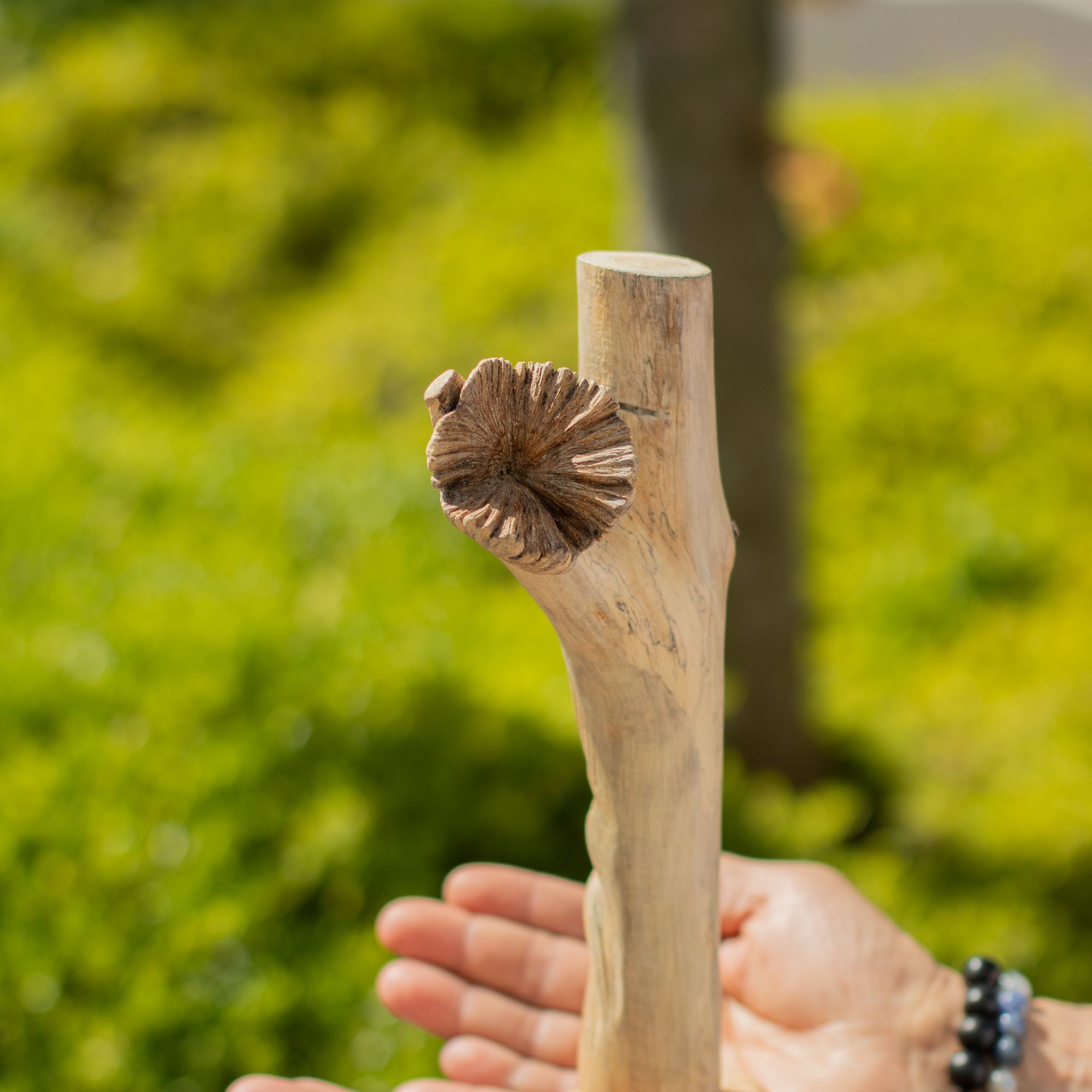 Handmade Parasite Wood Art Carving - Greenman - Image 3