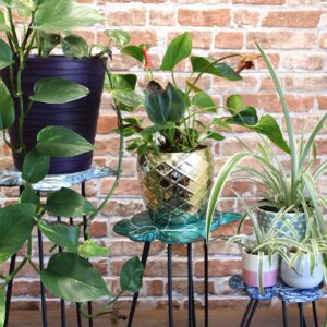 Set of 3 Gamal Wood Plant Stands – Natural