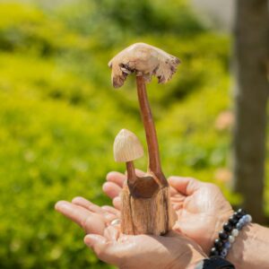 Handmade Parasite Wood Art Carving – Set of Two Mushoorms