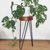 Albasia Wood Plant Stand – Whitewash