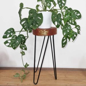 Albasia Wood Plant Stand – Whitewash