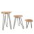 Set of 3 Gamal Wood Plant Stands – Whitewash