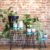 Set of 3 Gamal Wood Plant Stands – Greenwash