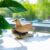 Handmade Parasite Wood Art Carving – Wild Duck Resting