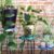 Set of 3 Gamal Wood Plant Stands – Natural