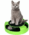 Cat Kitten Game – Catch The Mouse | Moving Toy Game for Cats & Kittens | Claw Scratching Toy with Mouse | Great Toy for Cats Indoors